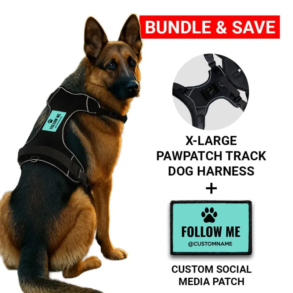 Pull Patch PawPatch Track hundesele x-large med social media patch