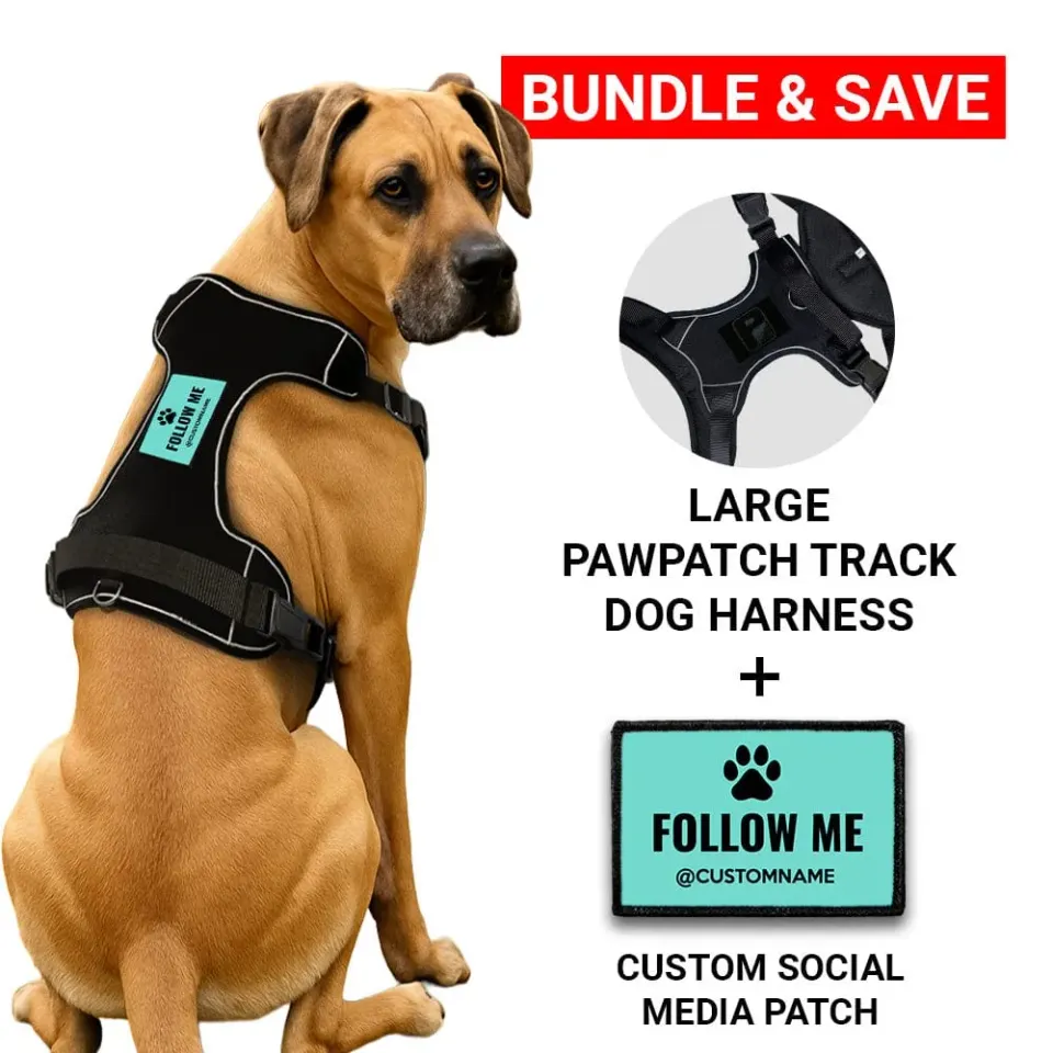 Pull Patch PawPatch Track Social Media hundesele large med AirTag