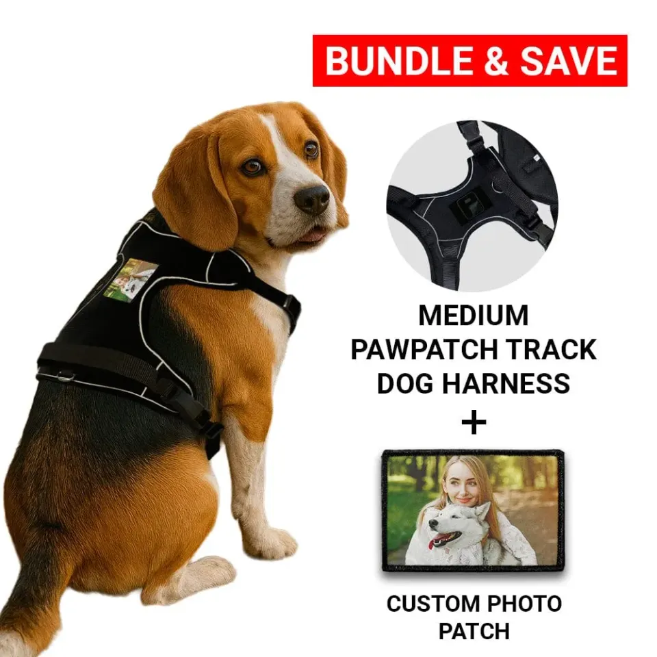 Pull Patch PawPatch Track hundesele medium custom foto