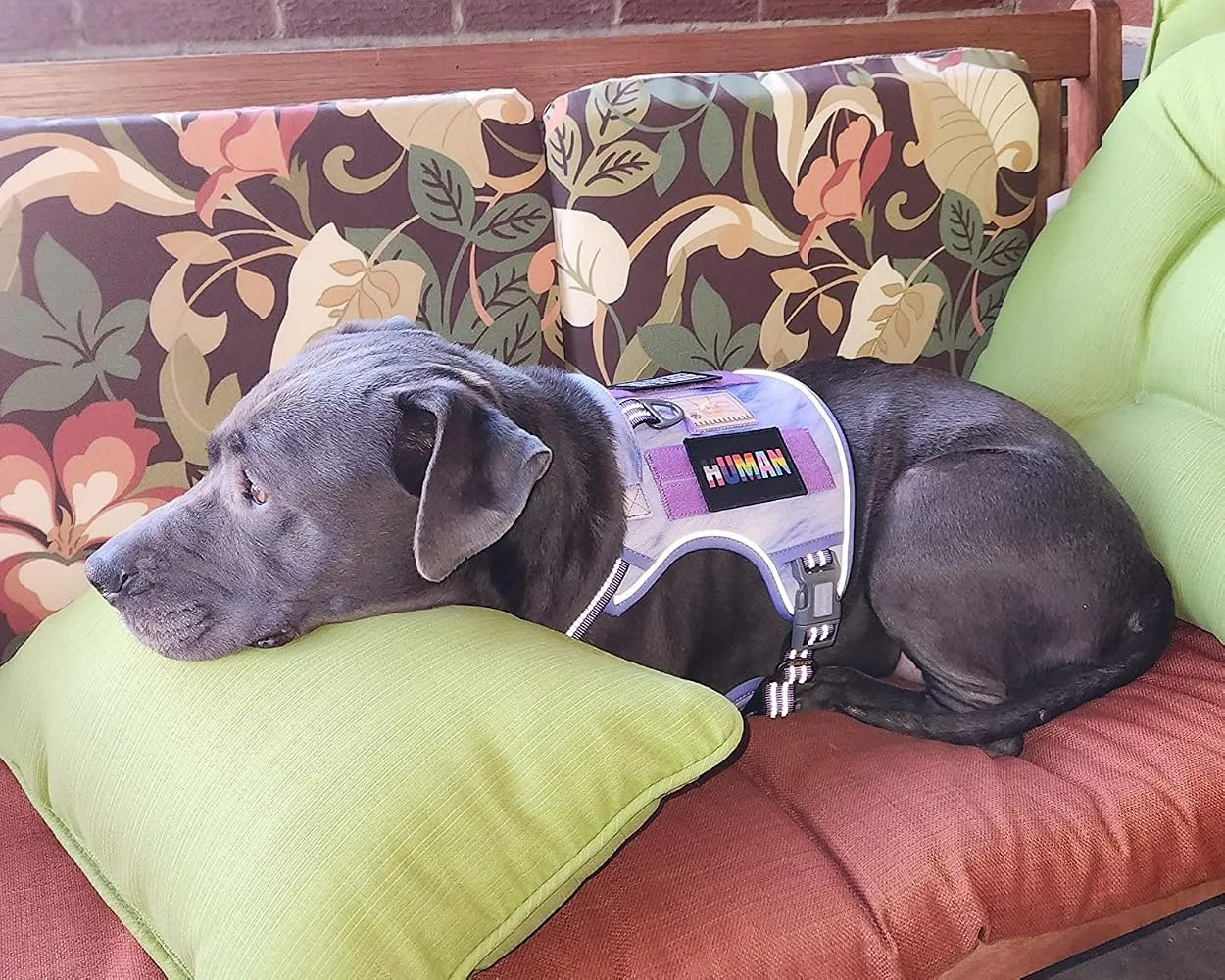 Pull Patch Pride Flag Redesign velcropatch