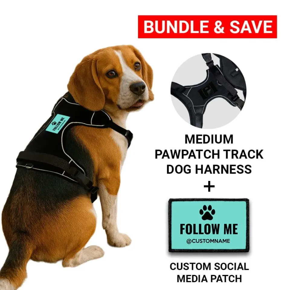 Pull Patch PawPatch Track Custom Social Media hundesele Medium