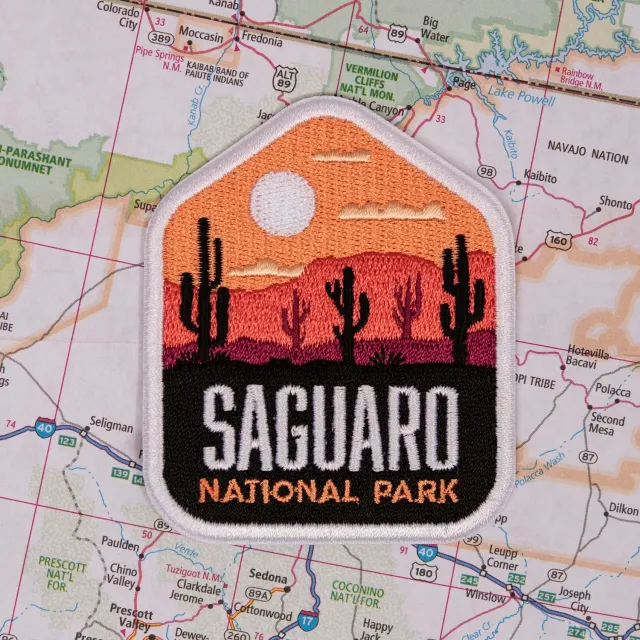 Vagabond Heart Saguaro National Park strygemærke kaktus