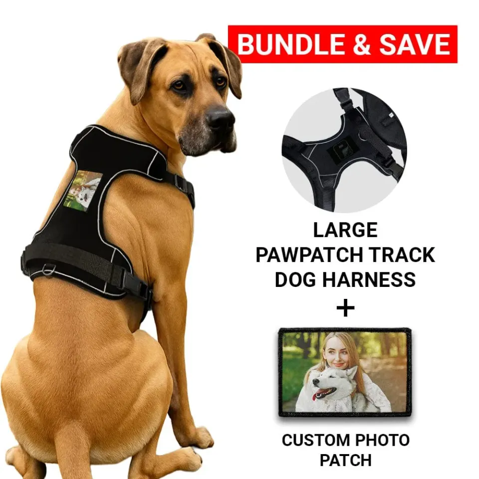 Pull Patch PawPatch Track foto hundesele large med patch